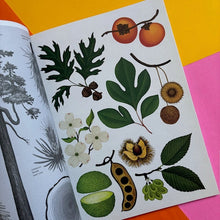 Load image into Gallery viewer, Arboretum - Poster Book