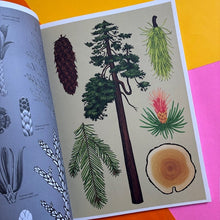 Load image into Gallery viewer, Arboretum - Poster Book