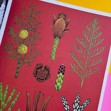 Load image into Gallery viewer, Arboretum - Poster Book