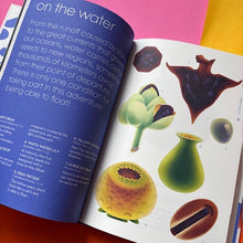 Load image into Gallery viewer, Seeds: Nature's Intrepid Miracles