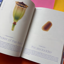 Load image into Gallery viewer, Seeds: Nature's Intrepid Miracles