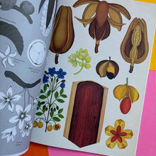 Load image into Gallery viewer, Arboretum - Poster Book