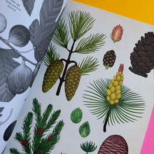 Load image into Gallery viewer, Arboretum - Poster Book