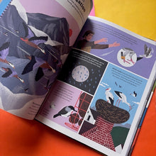 Load image into Gallery viewer, What makes A Bird? An Illustrated Guide to the Bird World