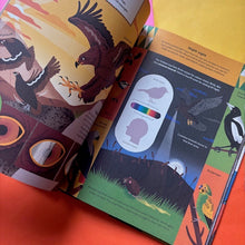 Load image into Gallery viewer, What makes A Bird? An Illustrated Guide to the Bird World
