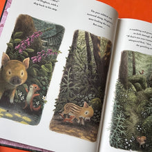 Load image into Gallery viewer, Hogbert