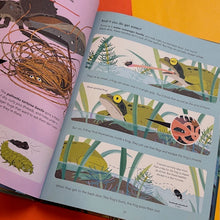 Load image into Gallery viewer, It's Tough to be Tiny : The secret life of small creatures