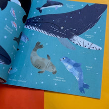 Load image into Gallery viewer, One Day on Our Blue Planet …In the Antarctic