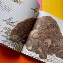 Load image into Gallery viewer, Aya Has Never Seen a Bear