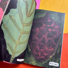 Load image into Gallery viewer, Native Trees Of Canada