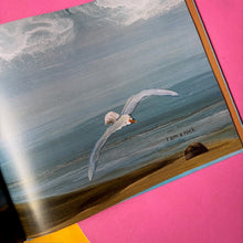 Load image into Gallery viewer, Rock