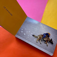 Load image into Gallery viewer, Dans Les Air / In The Air