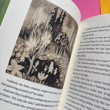 Load image into Gallery viewer, The Moomins and the Great Flood