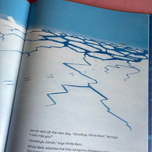 Load image into Gallery viewer, the Friend Who Fell From The Sky