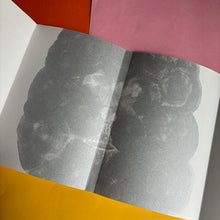 Load image into Gallery viewer, Face The Day