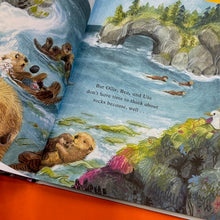 Load image into Gallery viewer, The Perfect Rock