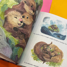 Load image into Gallery viewer, The Perfect Rock