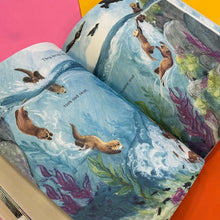 Load image into Gallery viewer, The Perfect Rock