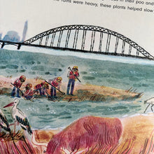 Load image into Gallery viewer, Rewild The World At bedtime