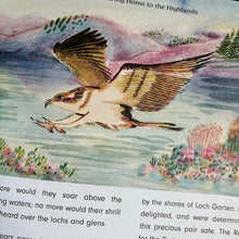 Load image into Gallery viewer, Rewild The World At bedtime