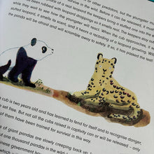 Load image into Gallery viewer, Rewild The World At bedtime