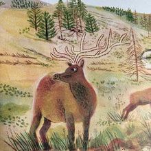 Load image into Gallery viewer, Rewild The World At bedtime