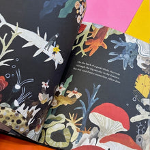 Load image into Gallery viewer, The Immortal Jellyfish