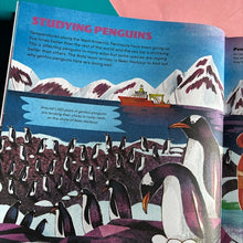 Load image into Gallery viewer, Scientists In The Wild Antarctica