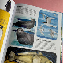 Load image into Gallery viewer, Scientists In The Wild Antarctica