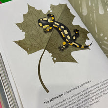 Load image into Gallery viewer, Wild Animals of the World