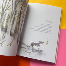 Load image into Gallery viewer, Ninos : Poems for the Lost Children of Chile