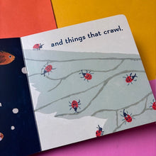 Load image into Gallery viewer, A World To Meet