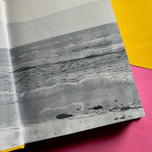 Load image into Gallery viewer, Ducks