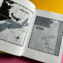 Load image into Gallery viewer, Ducks