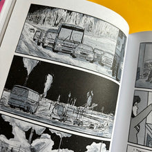 Load image into Gallery viewer, Ducks