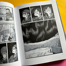 Load image into Gallery viewer, Ducks