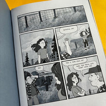 Load image into Gallery viewer, Ducks