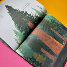 Load image into Gallery viewer, The Everything Trail