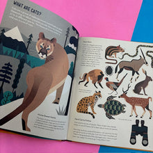 Load image into Gallery viewer, Crazy About Cats