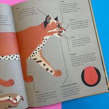 Load image into Gallery viewer, Crazy About Cats