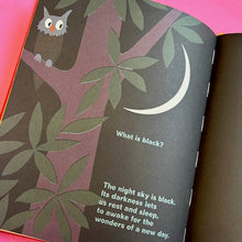 Load image into Gallery viewer, What Is Red?