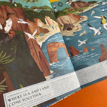 Load image into Gallery viewer, By The Sea - Life Along The Coast