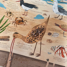 Load image into Gallery viewer, By The Sea - Life Along The Coast