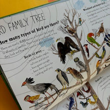 Load image into Gallery viewer, The Big Book Of Birds