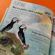 Load image into Gallery viewer, The Big Book Of Birds
