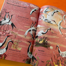 Load image into Gallery viewer, The Big Book Of Birds