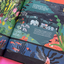 Load image into Gallery viewer, Why Do We Sleep?