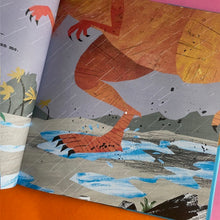 Load image into Gallery viewer, A First Book of Dinosaurs