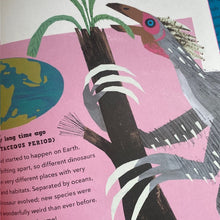 Load image into Gallery viewer, A First Book of Dinosaurs
