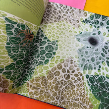 Load image into Gallery viewer, The Secret World of Spider Webs